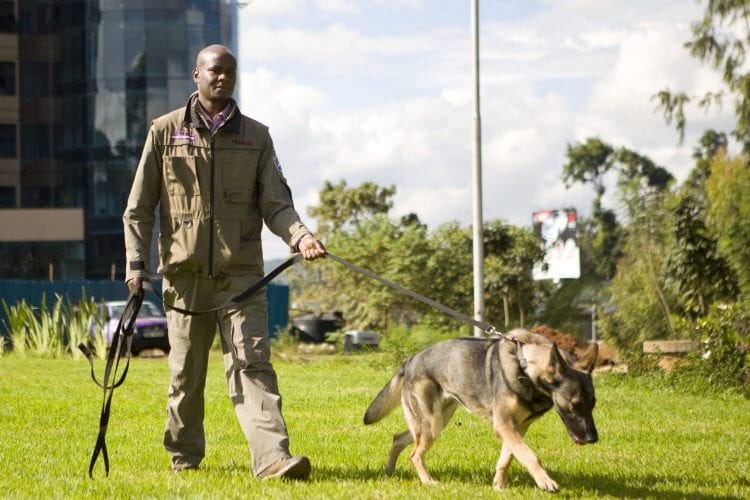Senaca security officer with a working dog